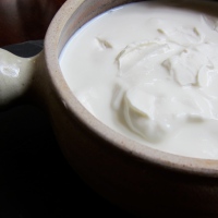 Yoghurt, a love story